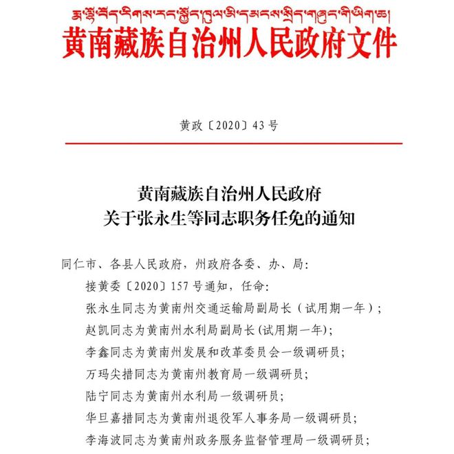 大新乡人事任命揭晓，城市发展新篇章启幕