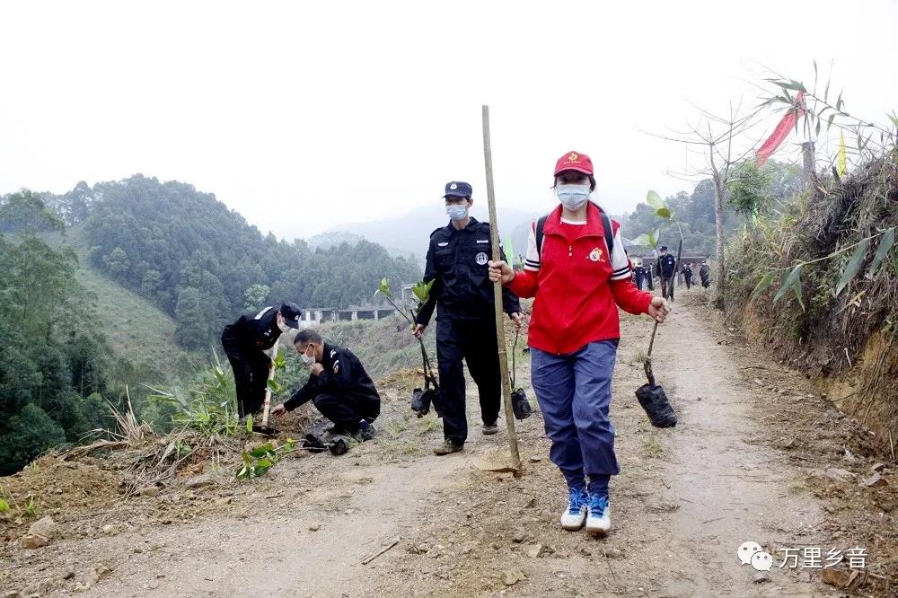 花滩林场最新招聘信息及相关内容深度解析