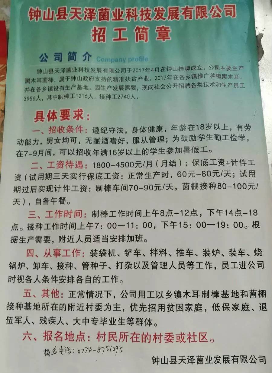 中元村最新招聘信息全面解析