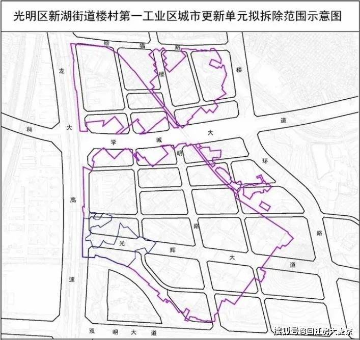 2024年12月24日 第29页