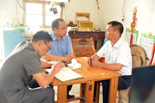 道县桥头林场发展规划，迈向绿色可持续发展之路