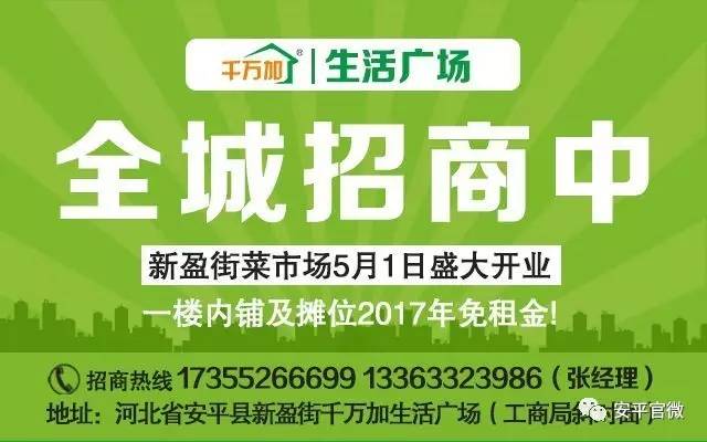 安达市人力资源和社会保障局最新招聘信息全面解析