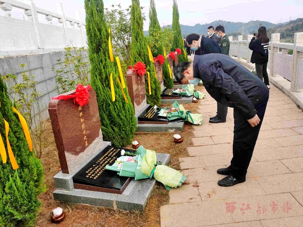 万秀区退役军人事务局最新项目，构建完善的退役军人服务体系