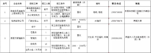 界首市市场监督管理局最新招聘公告概览