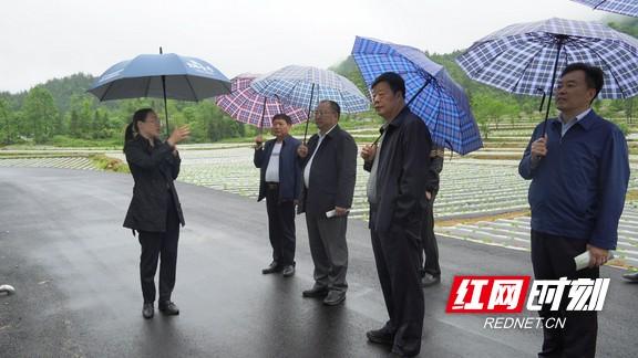 洛塔乡领导团队引领地方发展新篇章