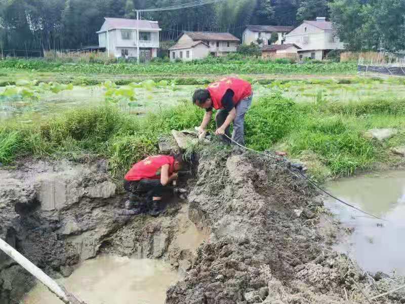 千善乡最新发展动态与社会变迁新闻速递