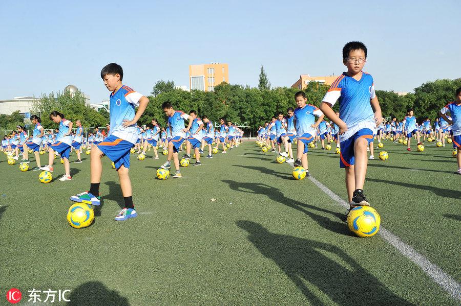 宣化县小学未来发展规划概览