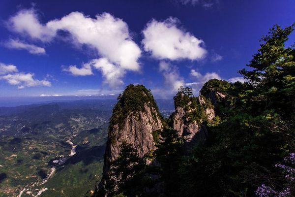 天竺山林场领导团队引领绿色变革，共筑生态梦想新篇章